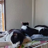 画像3378