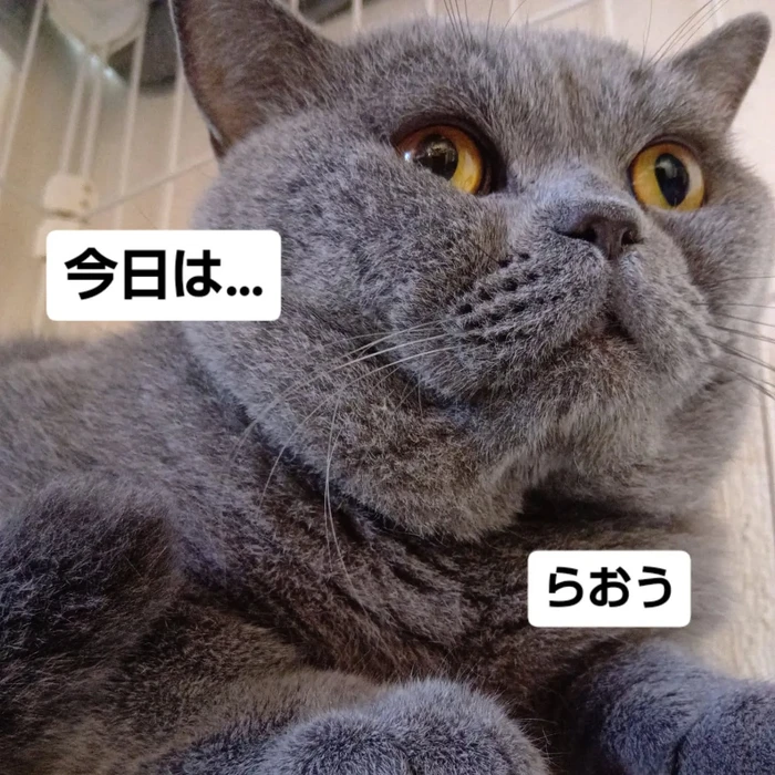 画像3380