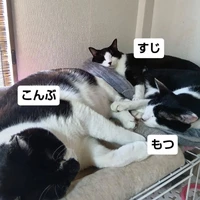 画像3381