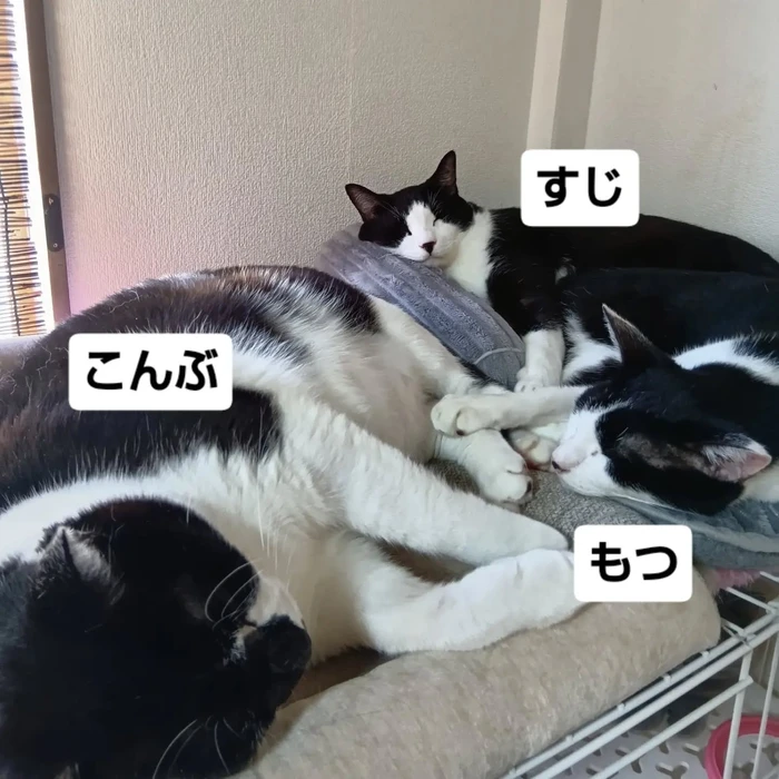 画像3381