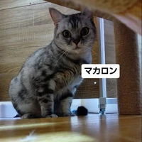 画像3382