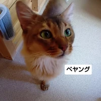 画像3383