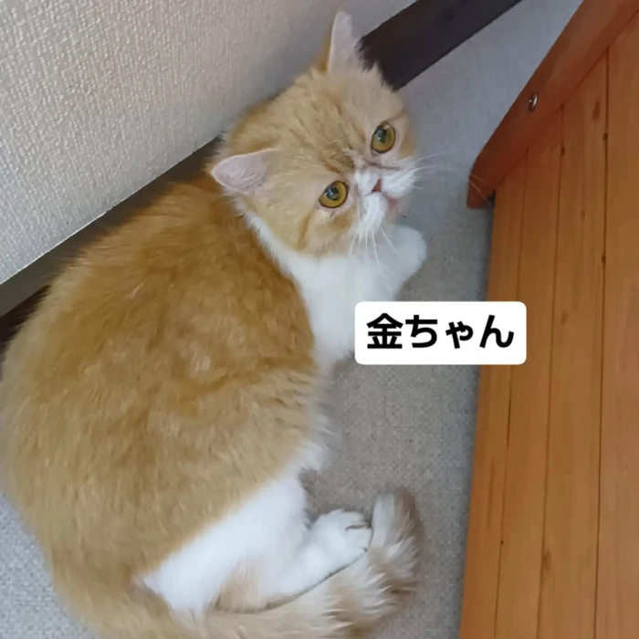 画像3384