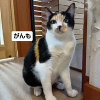 画像3385