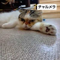 画像3386