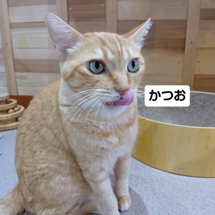 画像3387