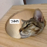 画像3388