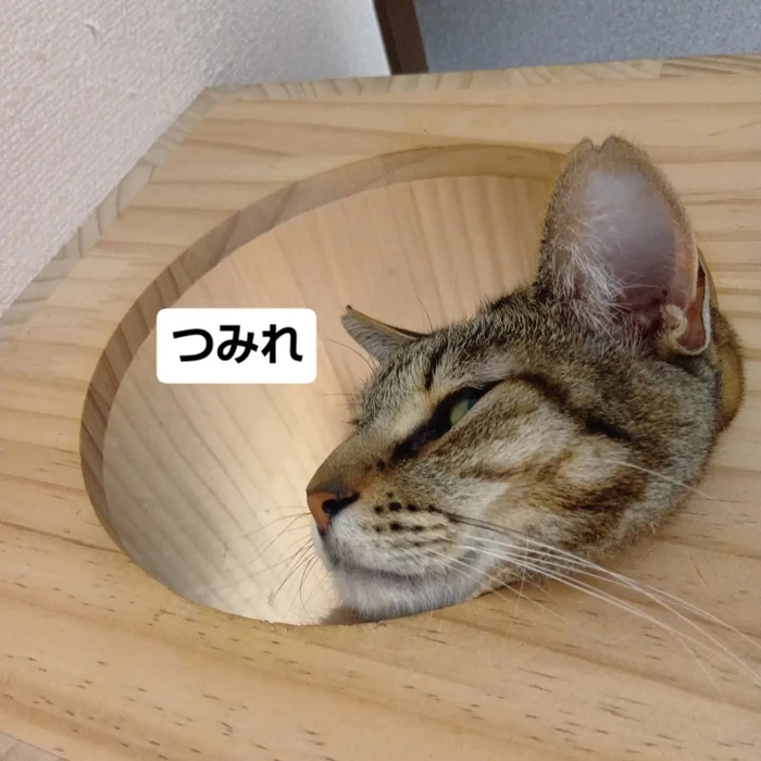 画像3388