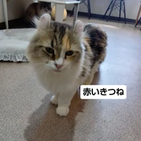 画像3389