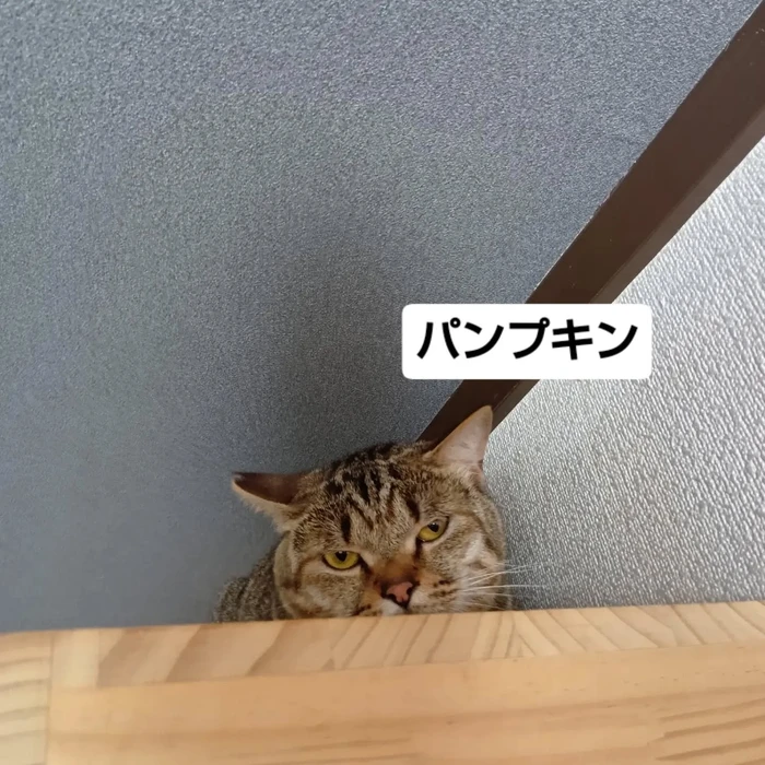 画像3391