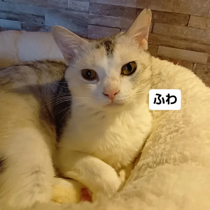 画像3392