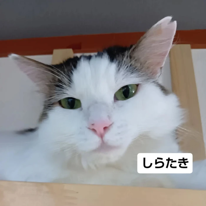画像3393