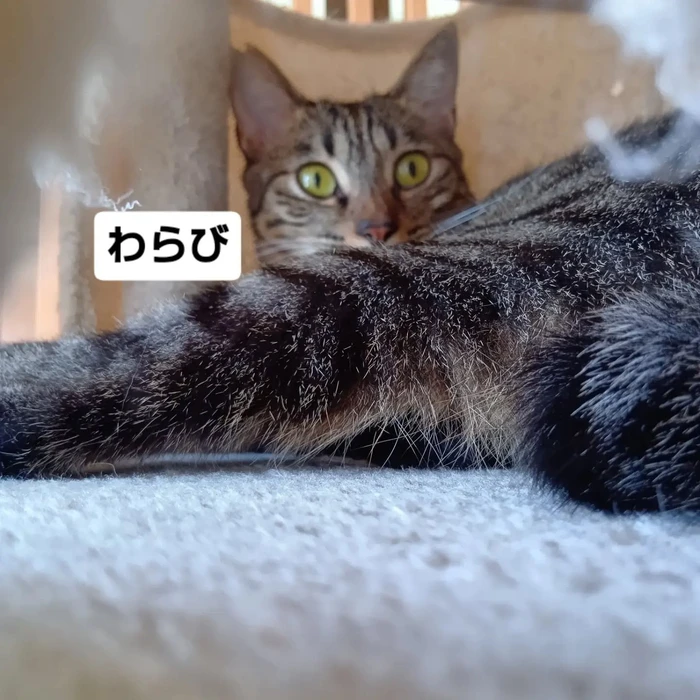 画像3394