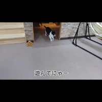 画像340