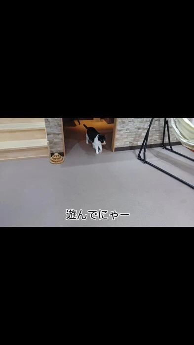 画像340