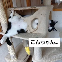 画像3413