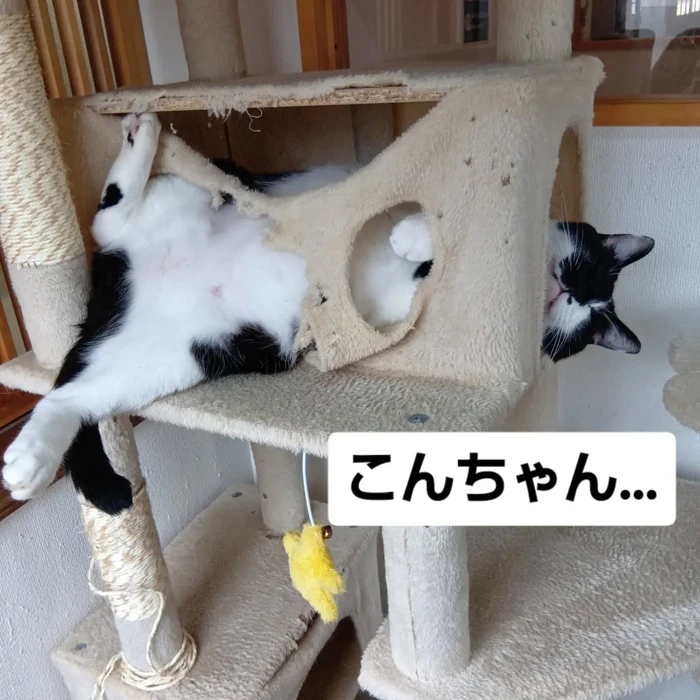 画像3413