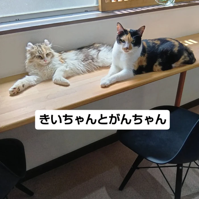 画像3424