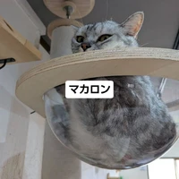 画像3426