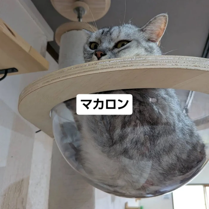 画像3426