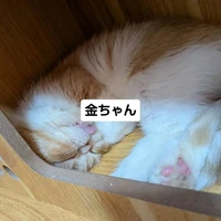 画像3427