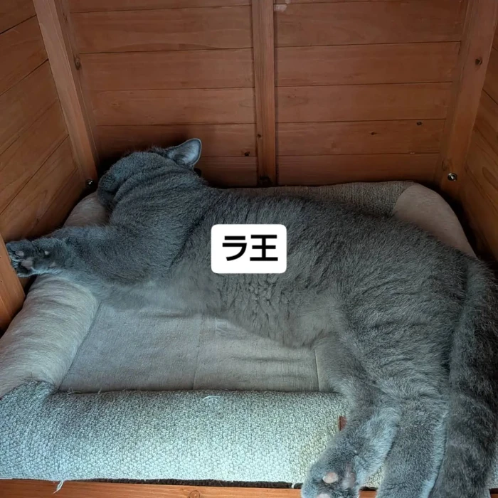 画像3428