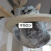 画像3430