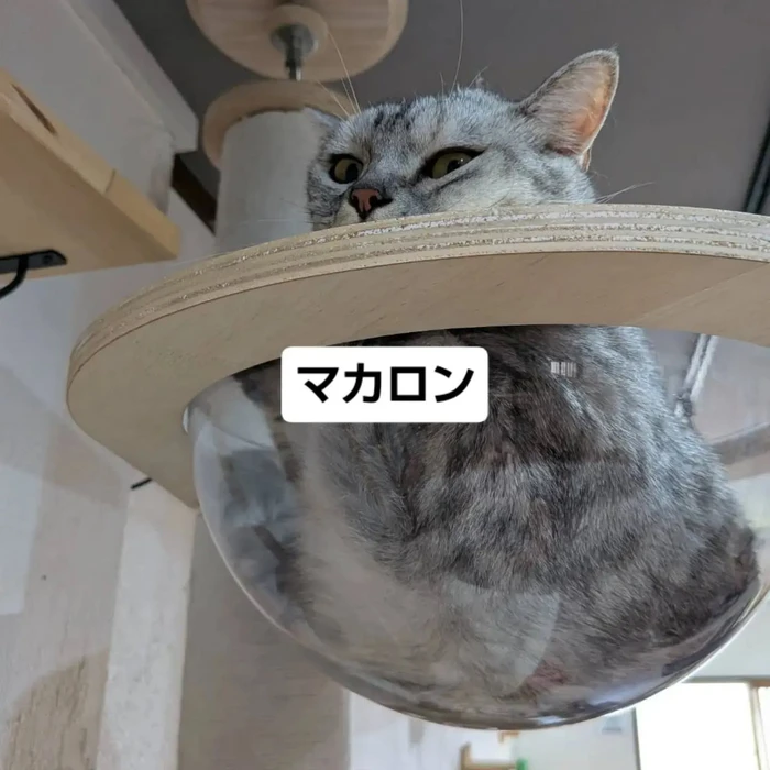 画像3430