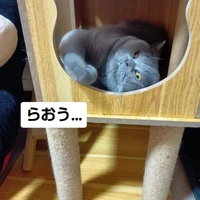 画像3434