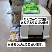 画像3438