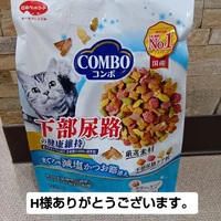 画像3440