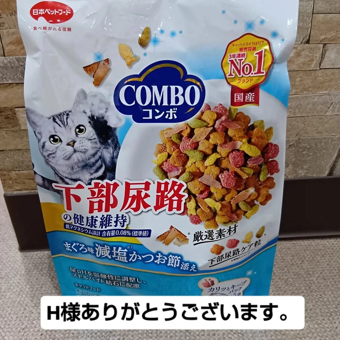 画像3440