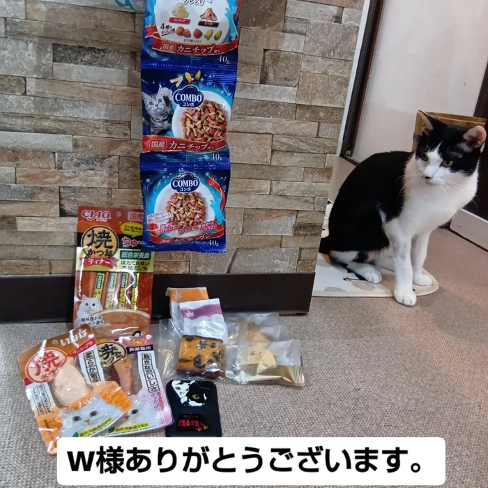 画像3443