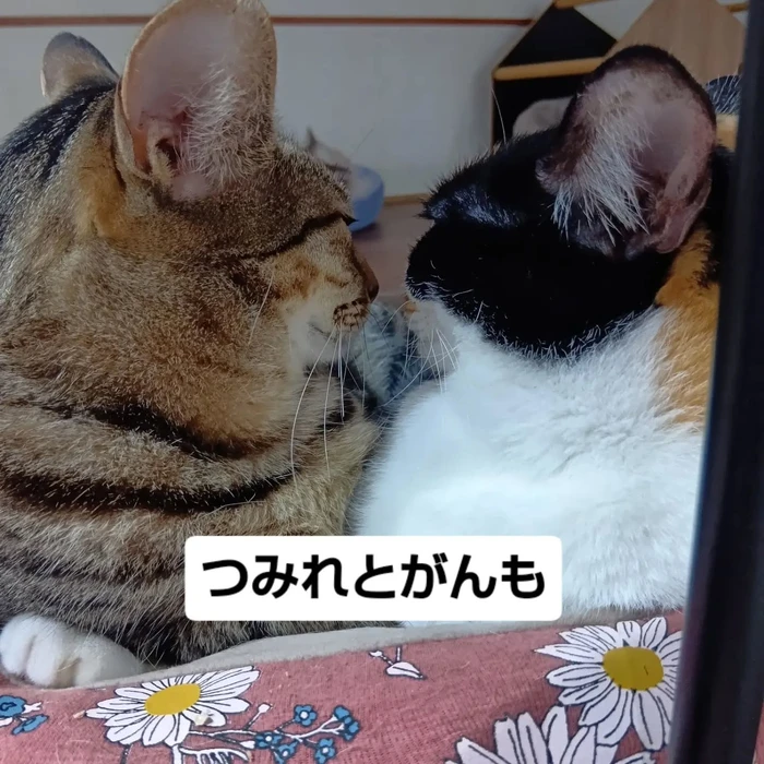 画像3448