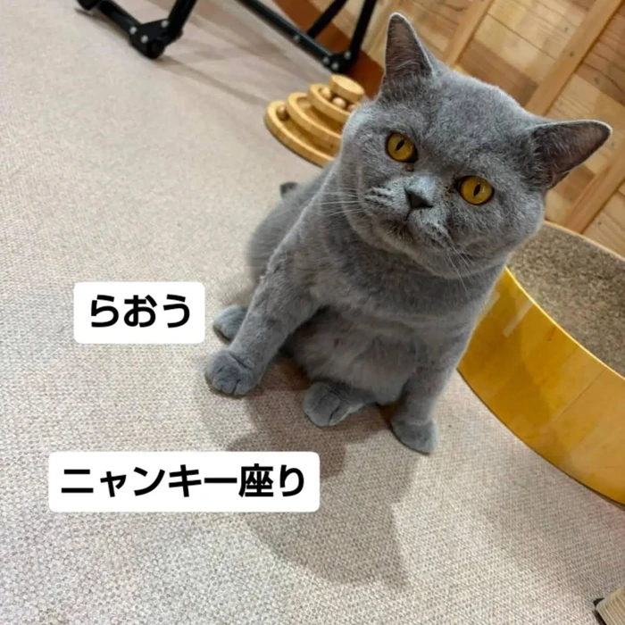 画像3459