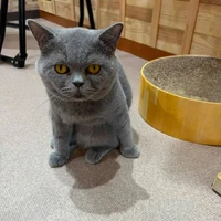 画像3460