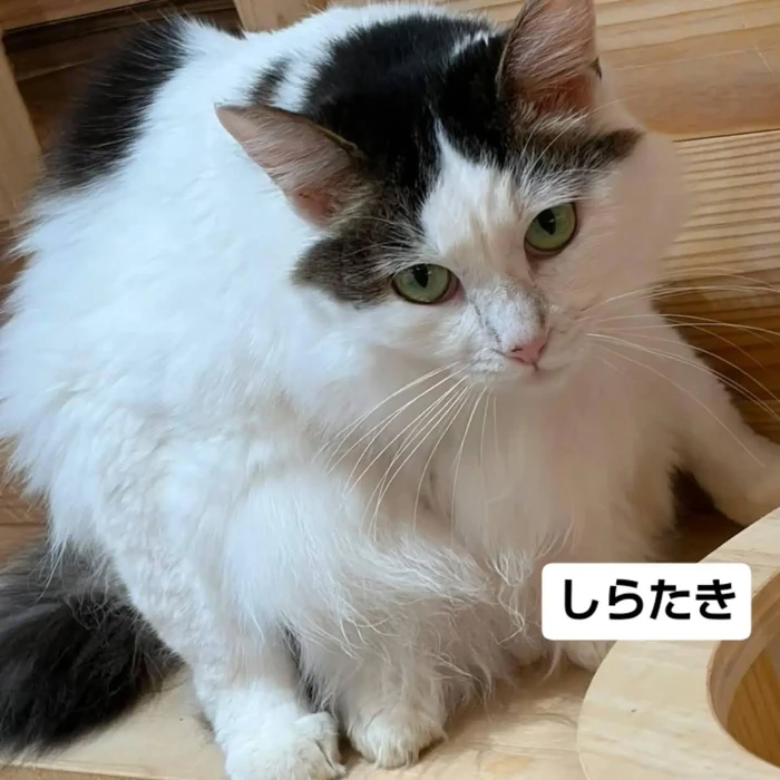 画像3463