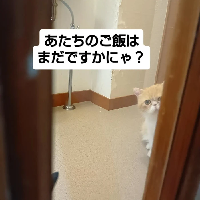 画像3468