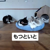 画像3471