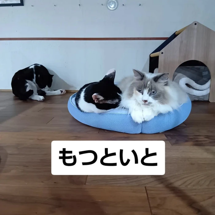 画像3471