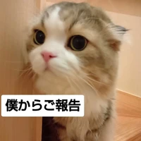 画像3483