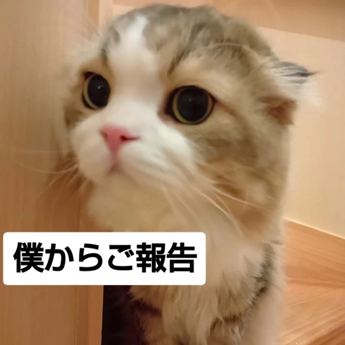 画像3483