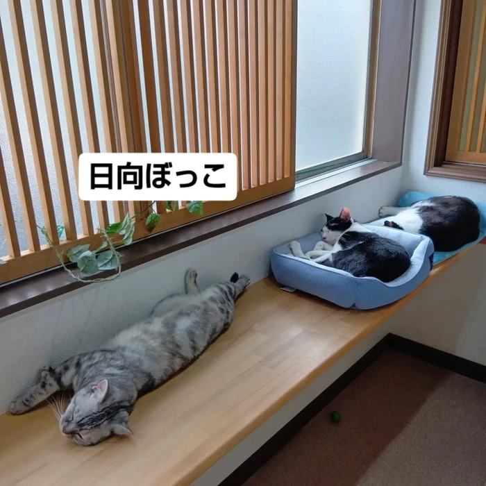 画像3489