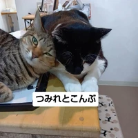 画像3495