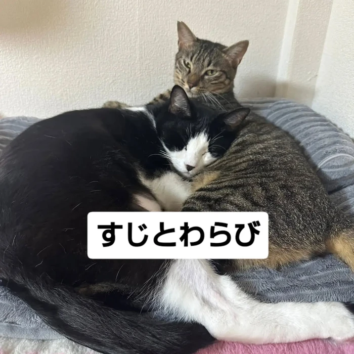 画像3502