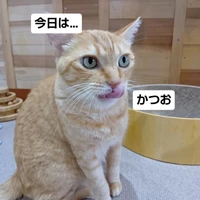 画像3513