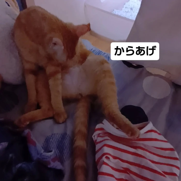 画像3514