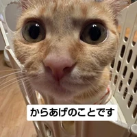 画像3516