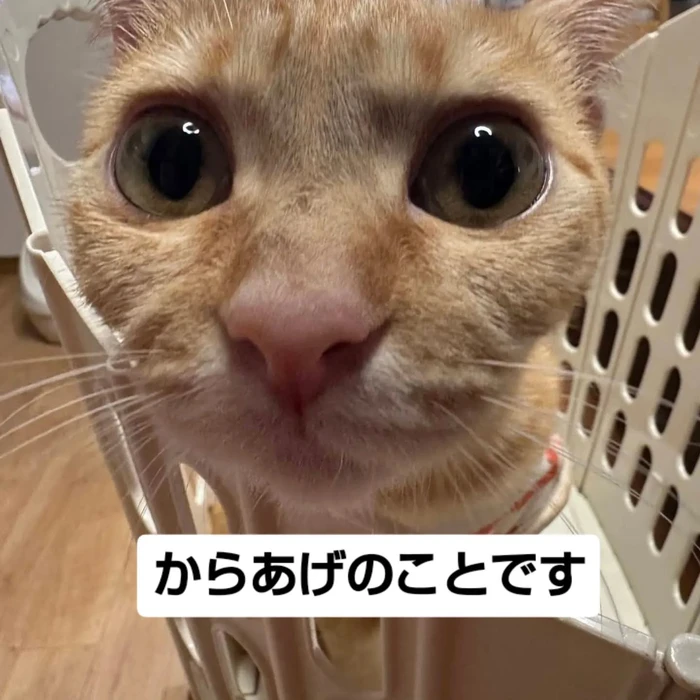 画像3516