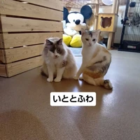 画像3534